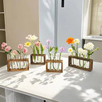HydroBloom Glass Vase - Modern Plant Display