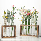 HydroBloom Glass Vase - Modern Plant Display