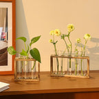 HydroBloom Glass Vase - Modern Plant Display