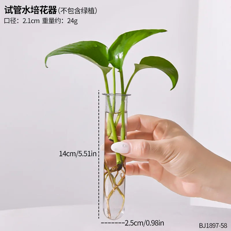 HydroBloom Glass Vase - Modern Plant Display