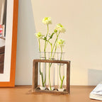 HydroBloom Glass Vase - Modern Plant Display